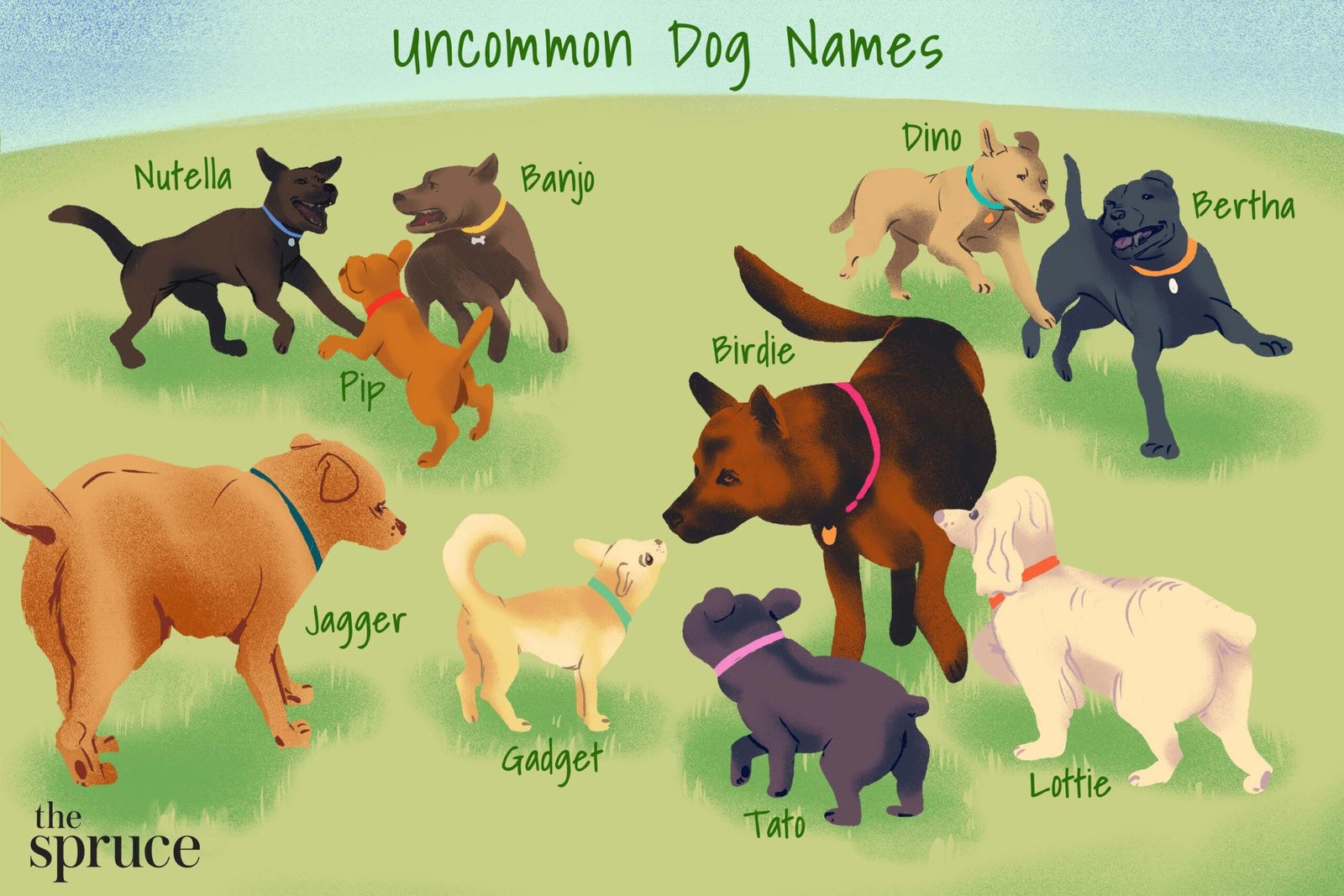 Historical Dogs Names